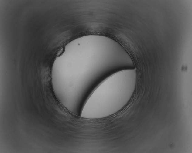 X0000096691107200802051030