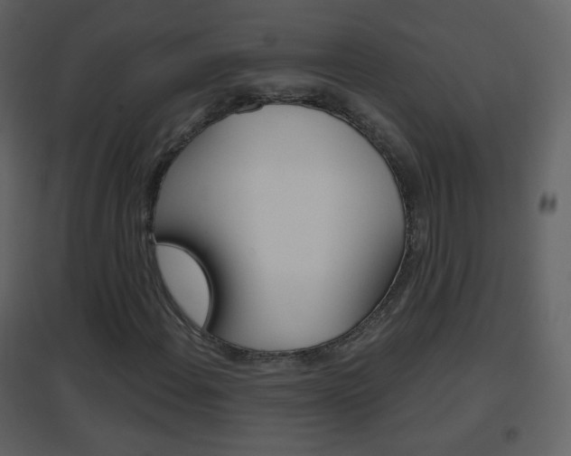 X0000096691108200802051030