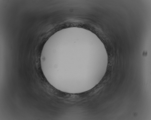 X0000096691109200802051030