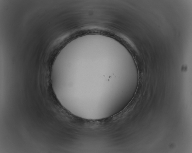X0000096691111200802051030