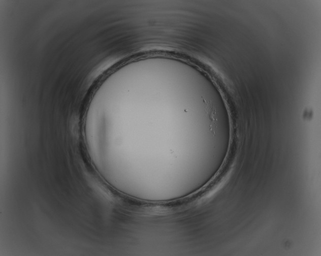 X0000096691113200802051030