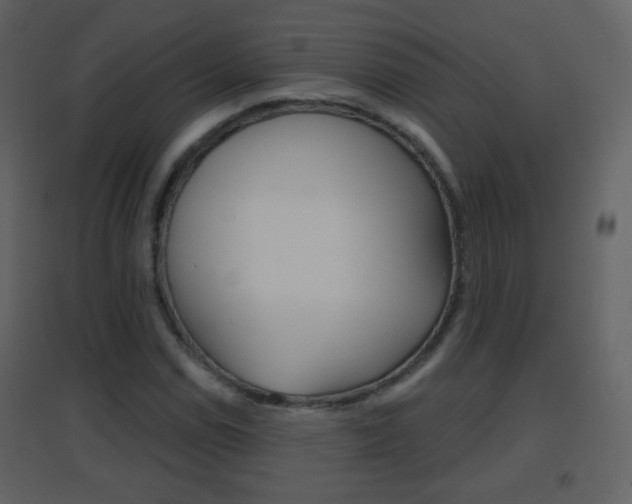 X0000096691114200802051030