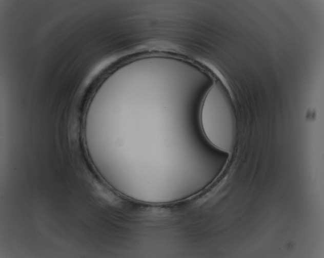 X0000096691115200802051030