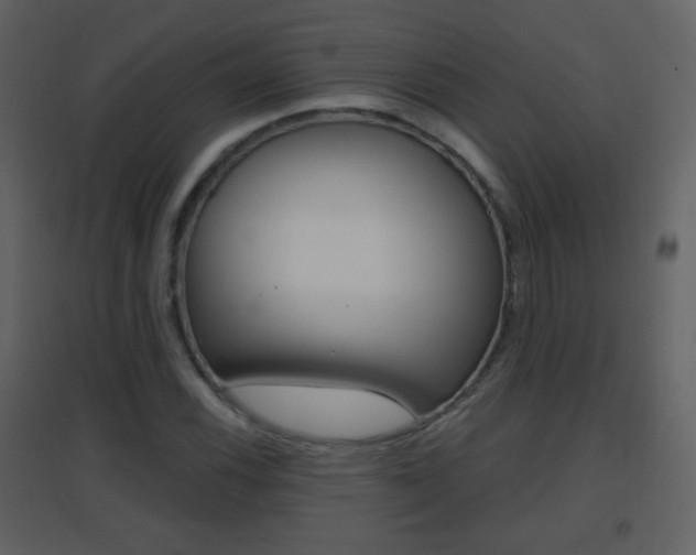 X0000096691116200802051030