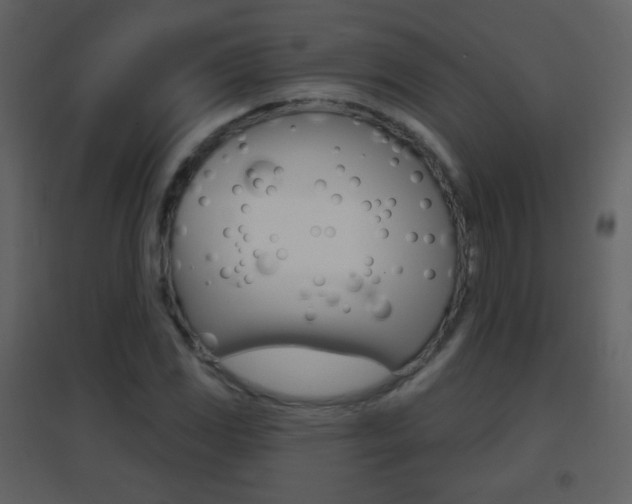 X0000096691117200802051030