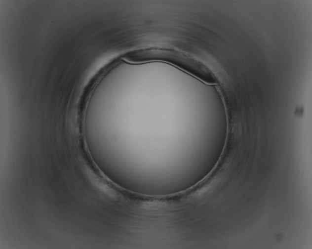 X0000096691118200802051030
