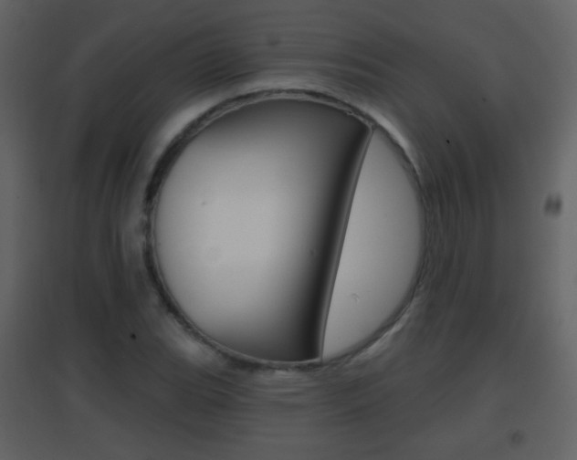 X0000096691119200802051030