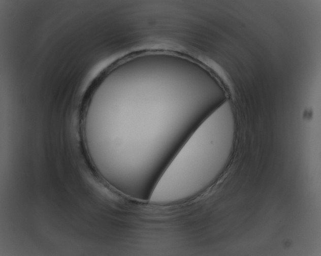 X0000096691120200802051030