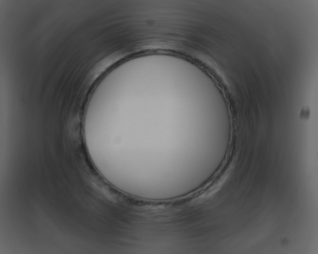 X0000096691121200802051030