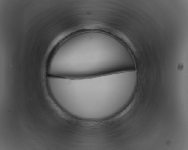 X0000096691122200802051030