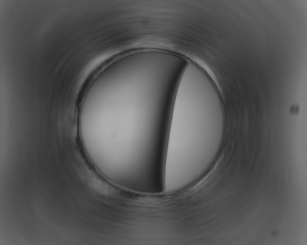 X0000096691123200802051030