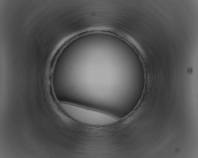X0000096691124200802051030