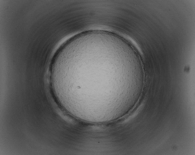 X0000096691125200802051031