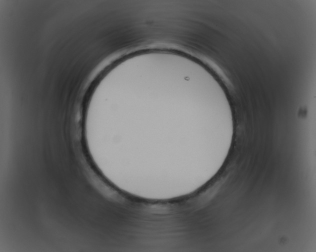 X0000096691126200802051031