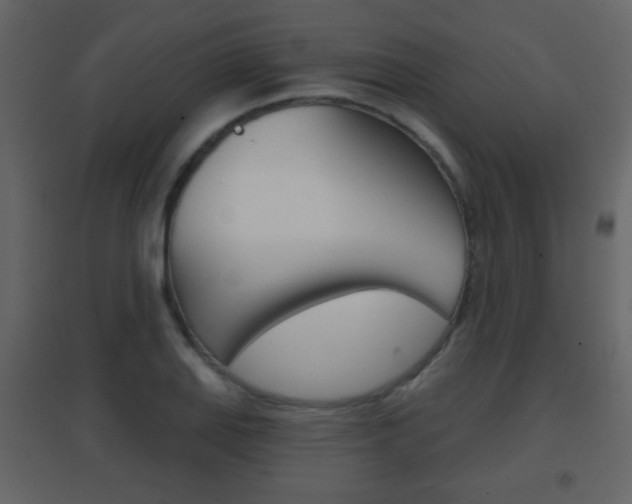 X0000096691127200802051031
