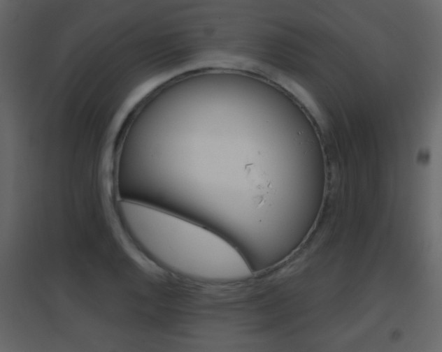 X0000096691128200802051031
