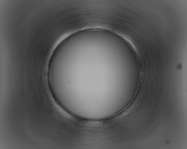 X0000096691135200802051031