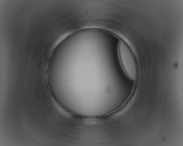 X0000096691137200802051031