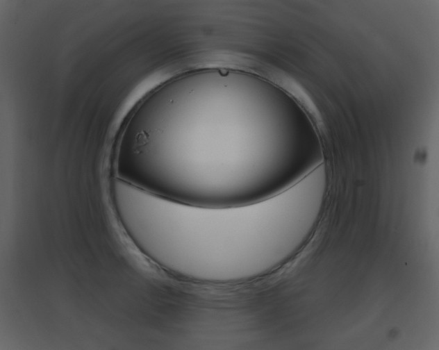 X0000096691138200802051031