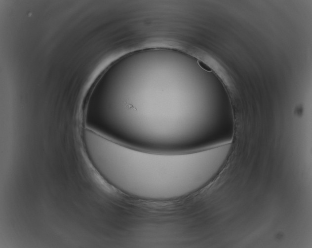X0000096691140200802051031