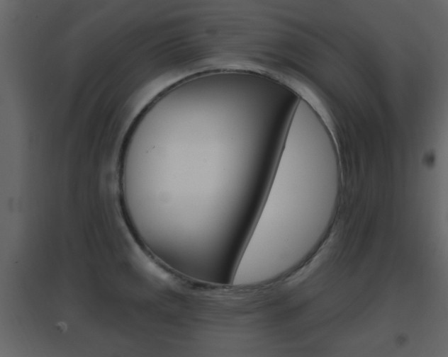 X0000096691141200802051031