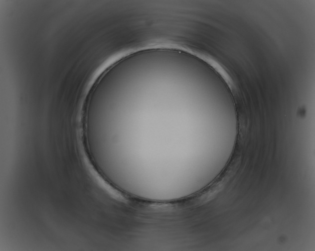 X0000096691142200802051031