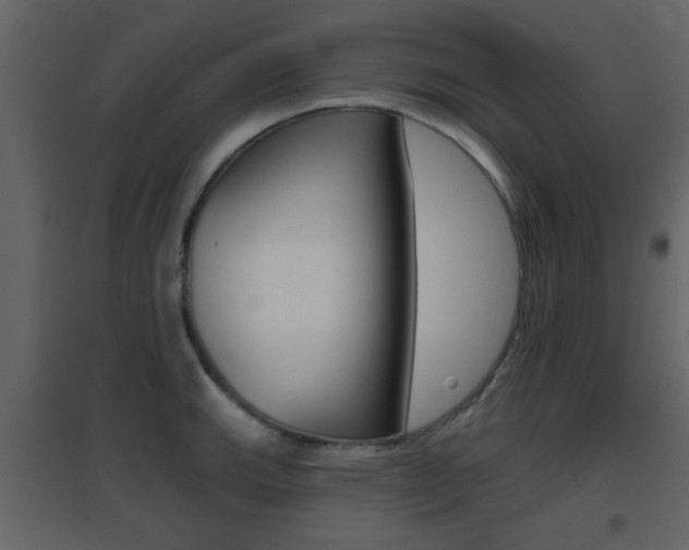 X0000096691143200802051031