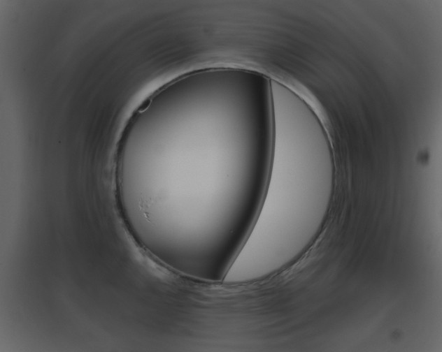 X0000096691144200802051031