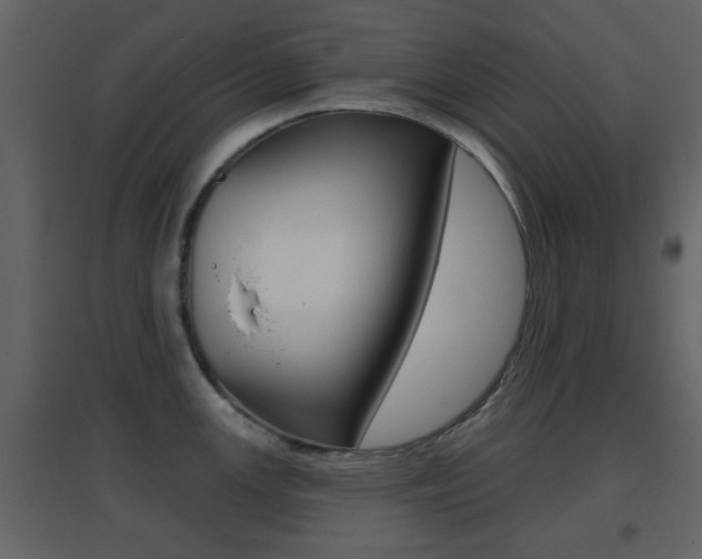 X0000096691147200802051031