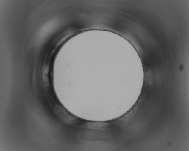 X0000096691150200802051031
