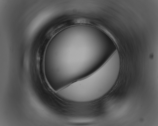 X0000096691151200802051031