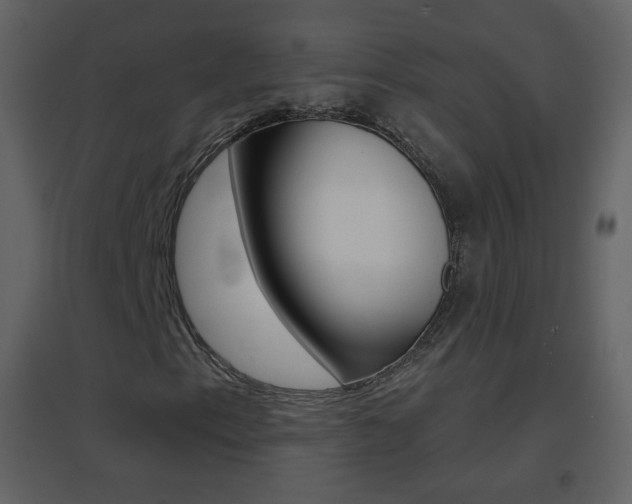 X0000096691153200802051030