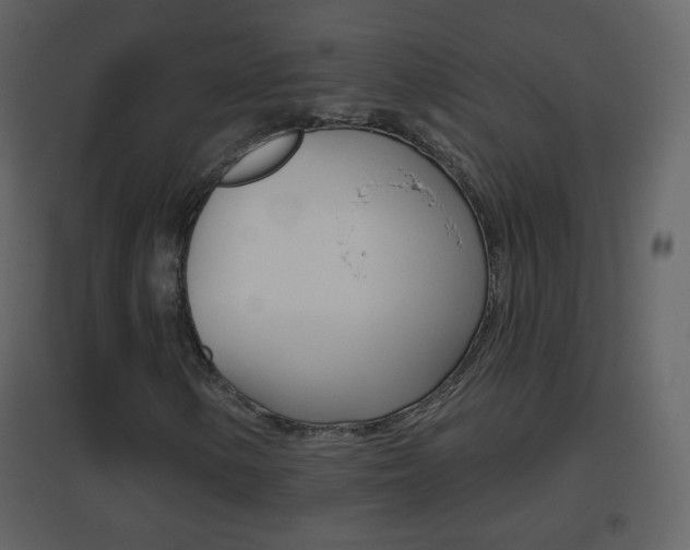 X0000096691154200802051030