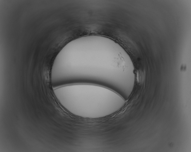 X0000096691155200802051030