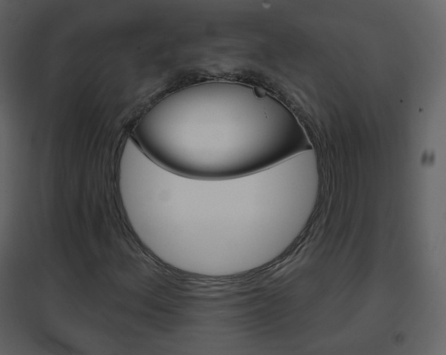X0000096691156200802051030