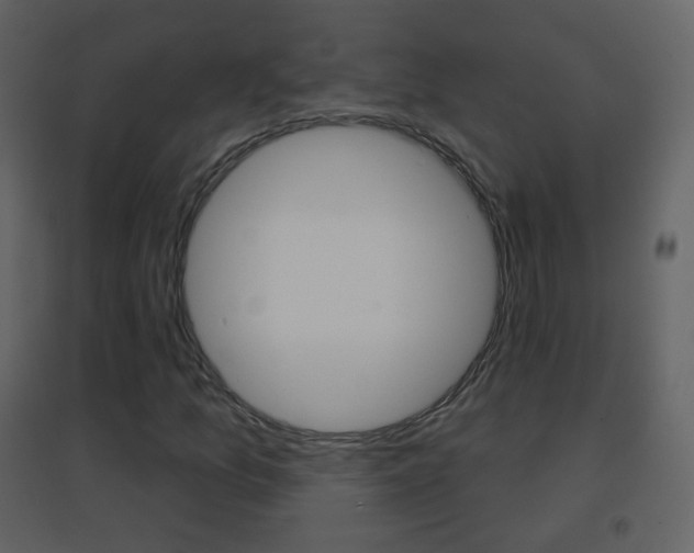 X0000096691157200802051030