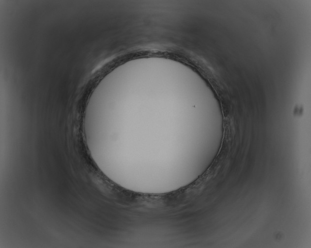 X0000096691158200802051030