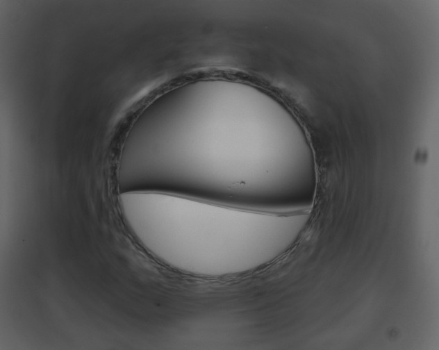 X0000096691159200802051030