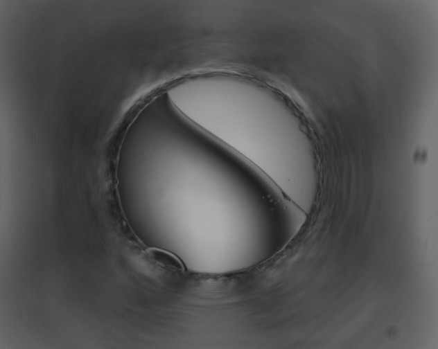 X0000096691160200802051030