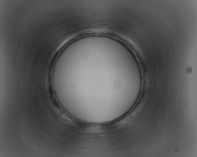 X0000096691162200802051030