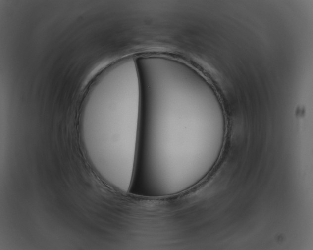 X0000096691163200802051030