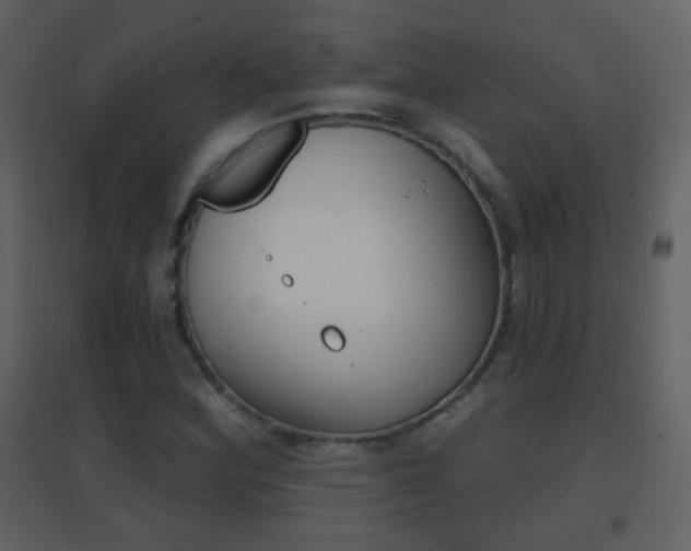 X0000096691164200802051030