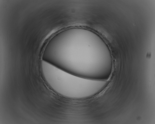 X0000096691165200802051030