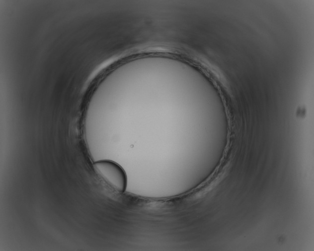 X0000096691166200802051030