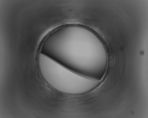 X0000096691167200802051030