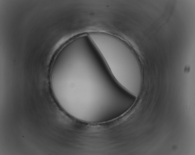 X0000096691168200802051030