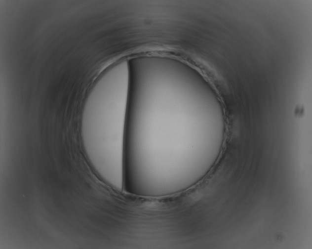 X0000096691169200802051030