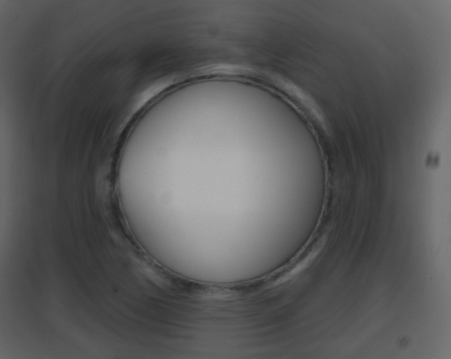 X0000096691170200802051030