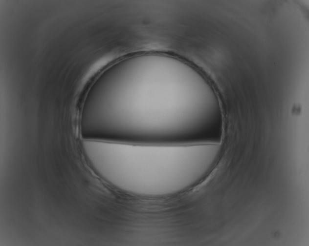 X0000096691171200802051030