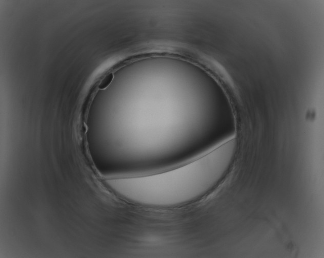 X0000096691172200802051030